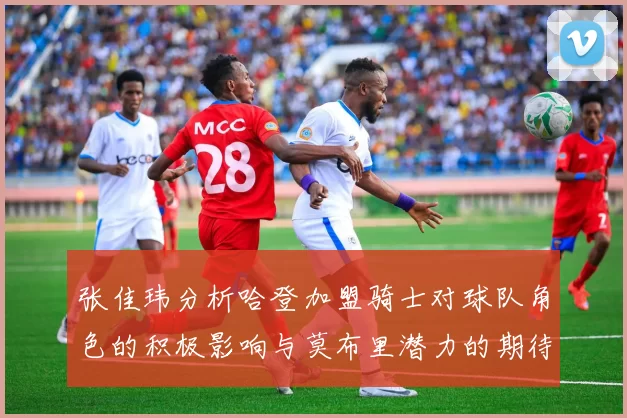 张佳玮分析哈登加盟骑士对球队角色的积极影响与莫布里潜力的期待